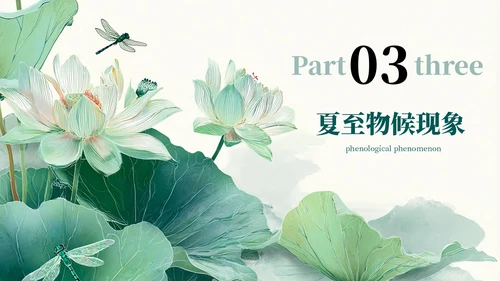 绿色简约二十四节气之夏至PPT模板