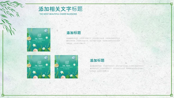 绿色小清新清明节文化习俗介绍主题班会ppt模板