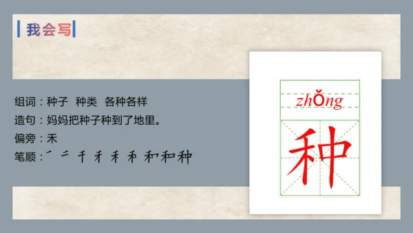 第3课《一个接一个》第一课时   课件