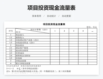 项目投资现金流量表