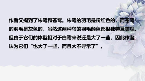 《1 白鹭》课件