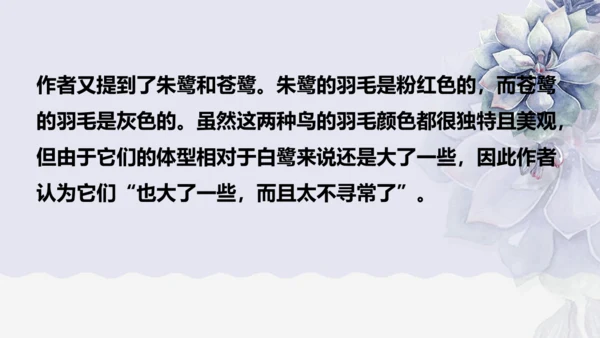 《1 白鹭》课件