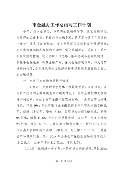 市金融办工作总结与工作计划 (2).docx