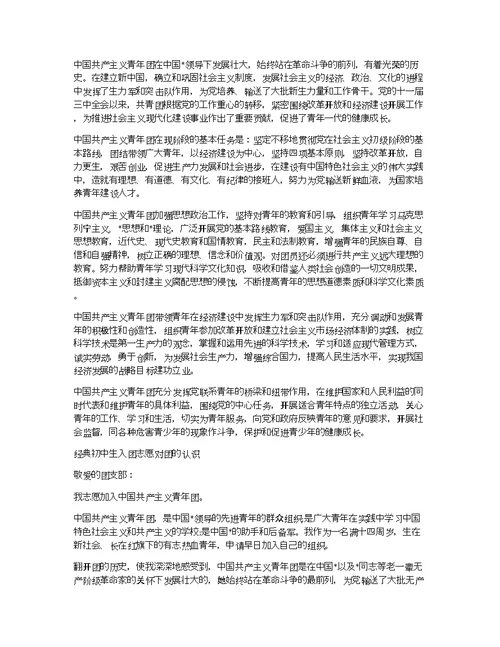初中生对团的认识