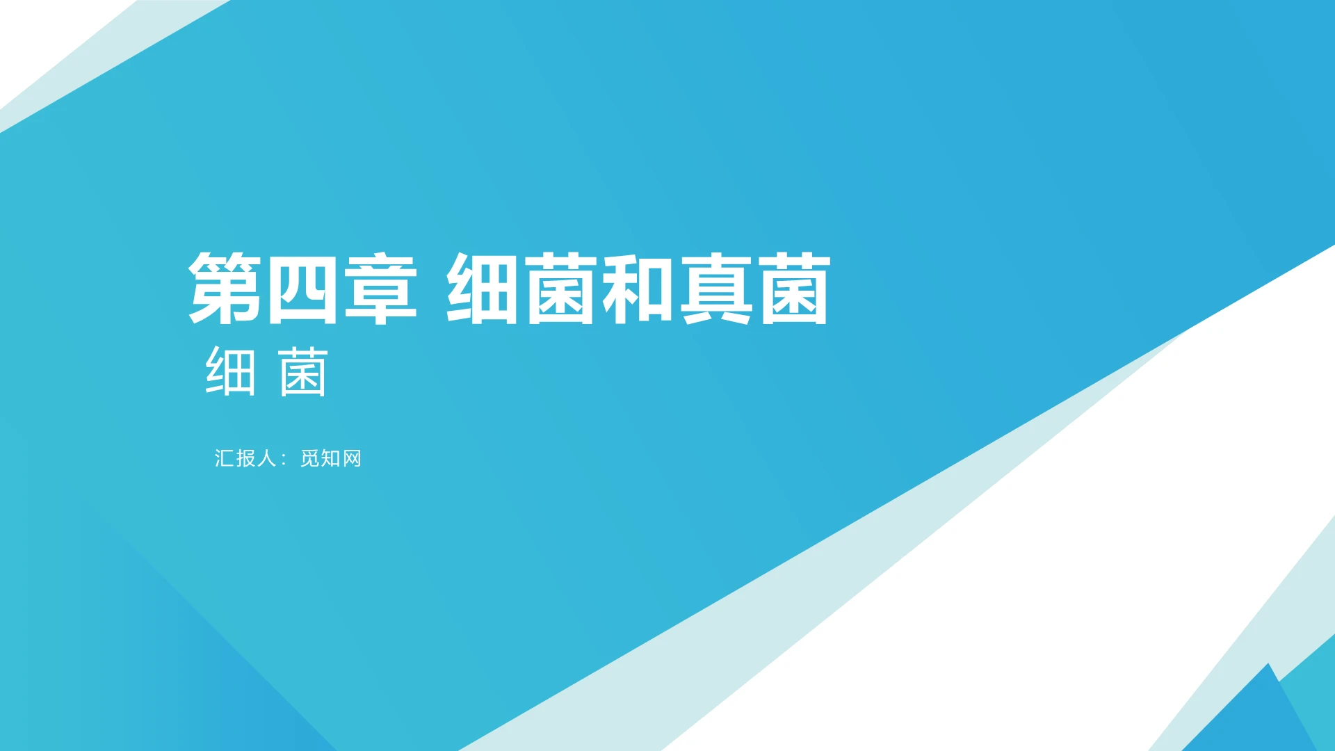 蓝色细菌分析报告PPT细菌ppt