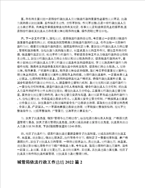 城管局依法行政工作总结2022