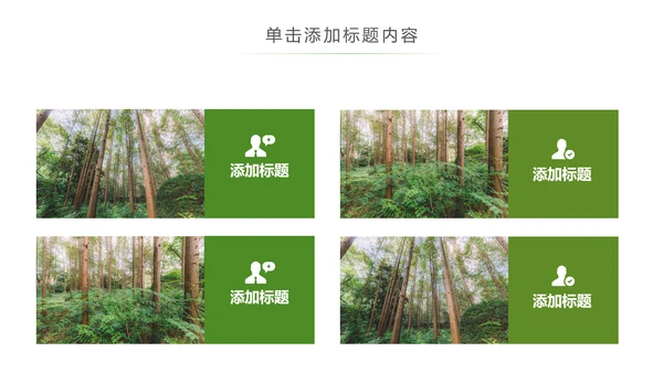 原始森林湿地植树造林森林环保PPT模板
