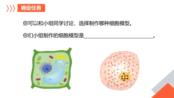 综合实践项目单元小结-【备课优选】七年级生物上学期同步精品课件（2024人教版）(共19张PPT)