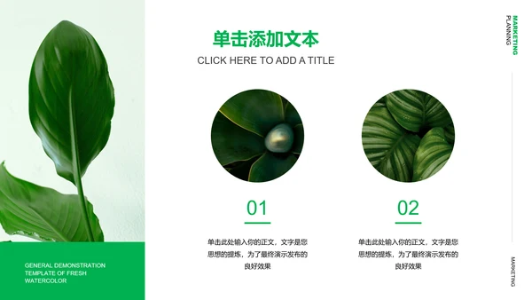 绿色清新风格营销策划植物通用PPT演示模板
