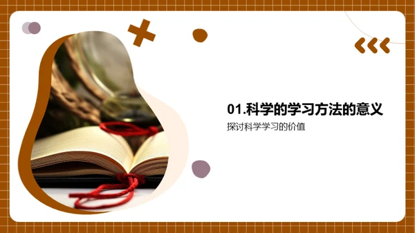 掌握科学学习