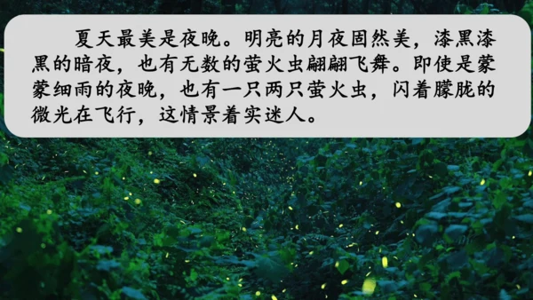 《四季之美》