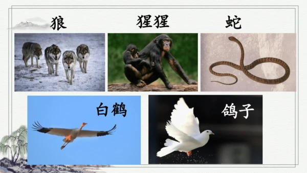 部编版二年级上册语文 语文园地八 课件