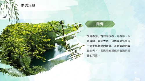 清明节起源习俗文化介绍通用PPT模板