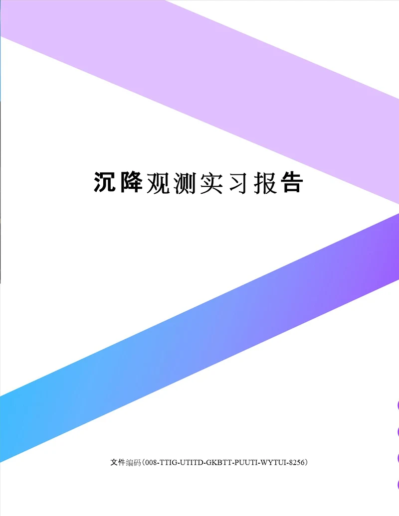 沉降观测实习报告