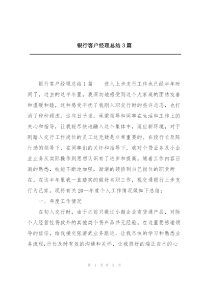 银行客户经理总结3篇.docx