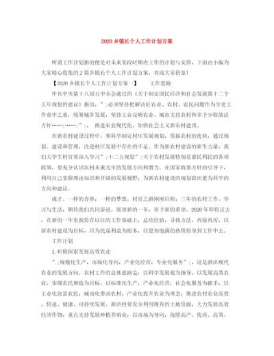 精编之乡镇长个人工作计划方案.docx