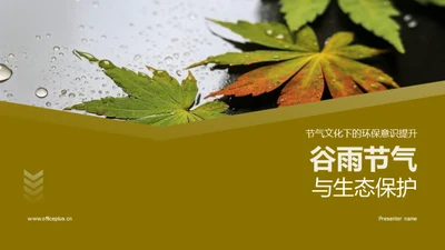 谷雨节气与生态保护