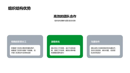 水果团队年终报告