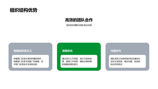 水果团队年终报告