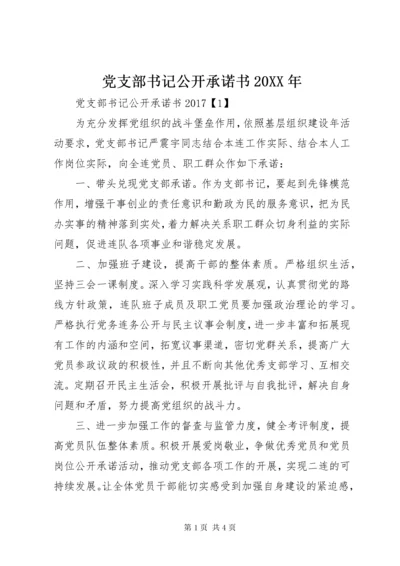 党支部书记公开承诺书某年.docx