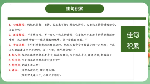 统编版2024三年级语文上册第三单元复习   课件