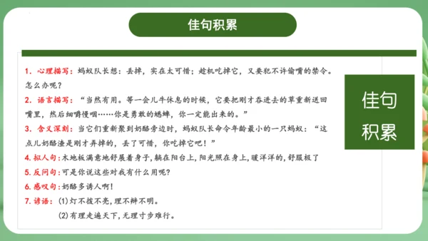 统编版2024三年级语文上册第三单元复习   课件