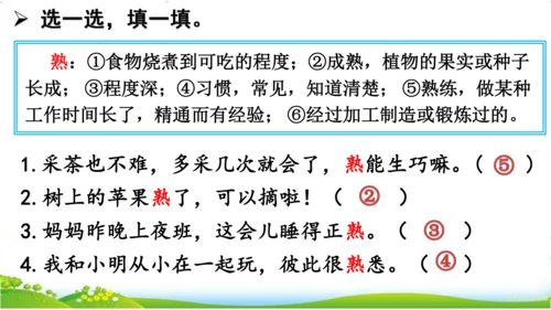 统编版语文三年级下册第六单元 《语文园地六》课件