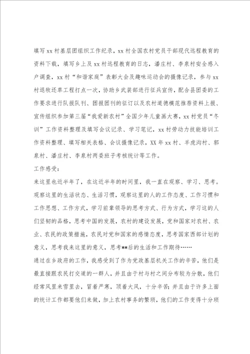 西部志愿者个人工作总结