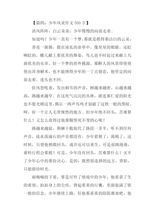 少年风采作文500字.docx