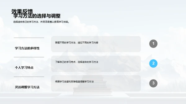 学习历程与策略