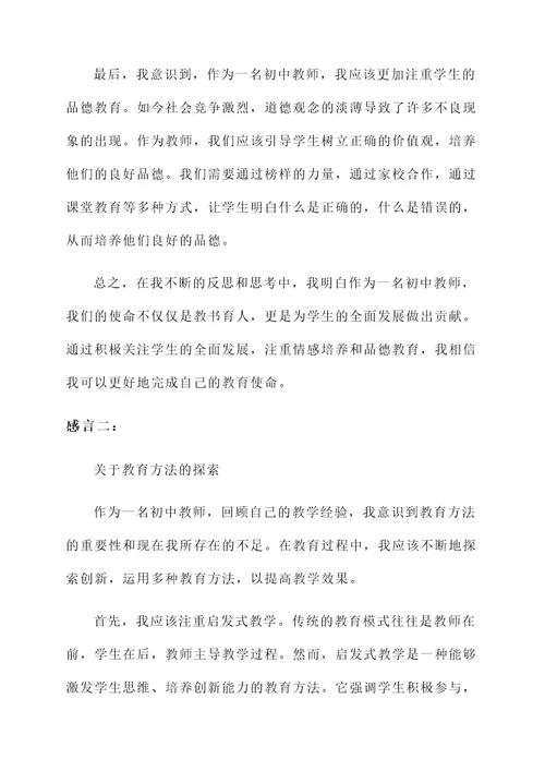 初中教师自省感言