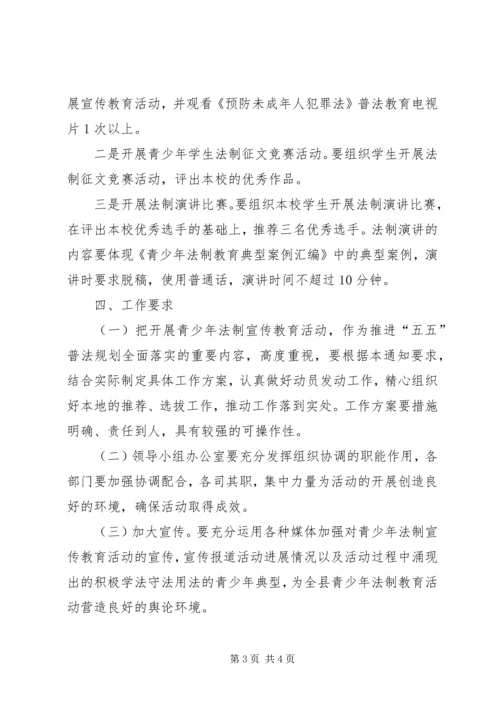 青少年法制宣传教育活动的实施方案.docx