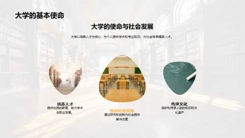 大学之旅：探索与学习