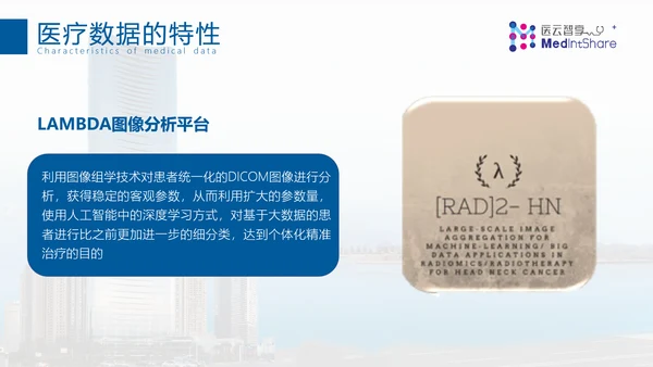 专业国际医疗机构PPT模板