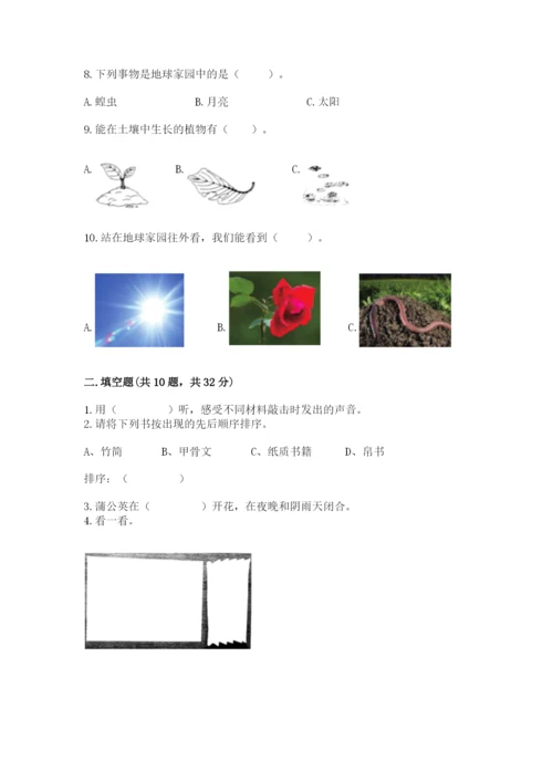 教科版科学二年级上册期末考试试卷（word）.docx