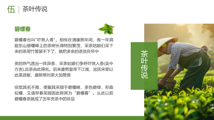 茶叶的故事 中国传统茶文化介绍主题班会课件