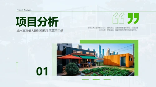 新城市农家小院策划案通用PPT