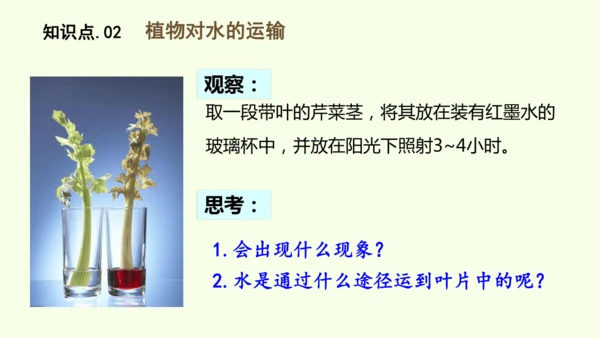 3.2.1水的利用与散失-七年级生物下学期同步精品课件（2024人教版）(共32张PPT)