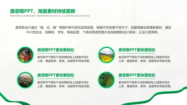 绿色简约风农学专业科研总结