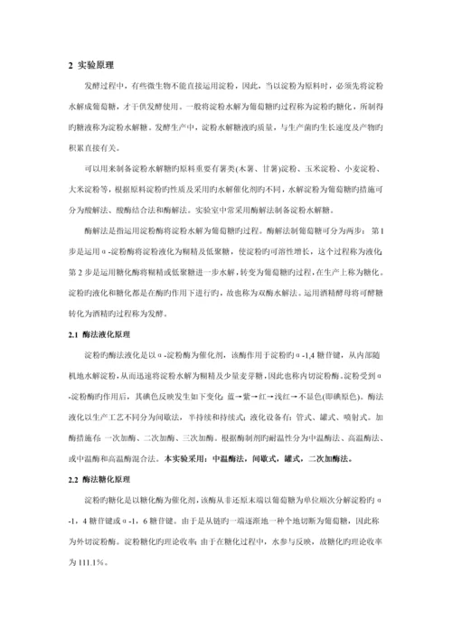 发酵标准工艺综合实习指导书.docx