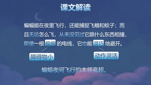 部编版四年级上册夜间飞行的秘密课件PPT模板