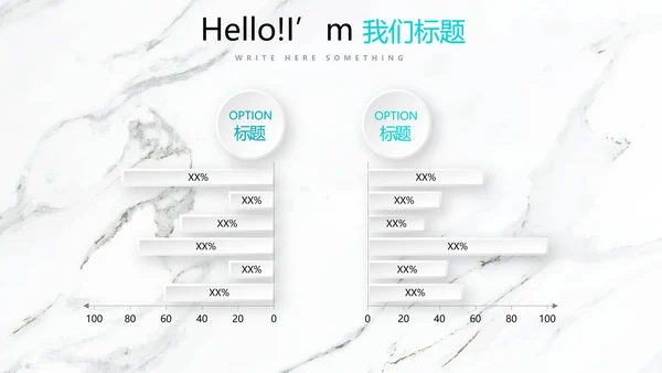 公司产品介绍宣传通用PPT动态模板