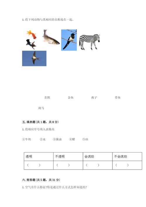 教科版小学科学一年级下册期末测试卷及参考答案【综合卷】.docx
