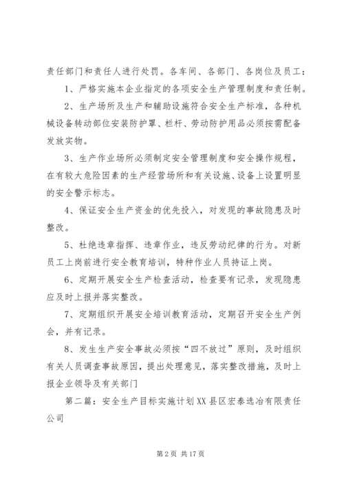 年度安全生产目标实施计划.docx