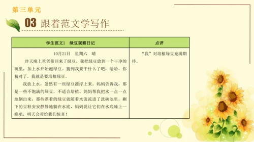 统编版语文四年级上册2024-2025学年度第三单元习作： 写观察日记（课件）