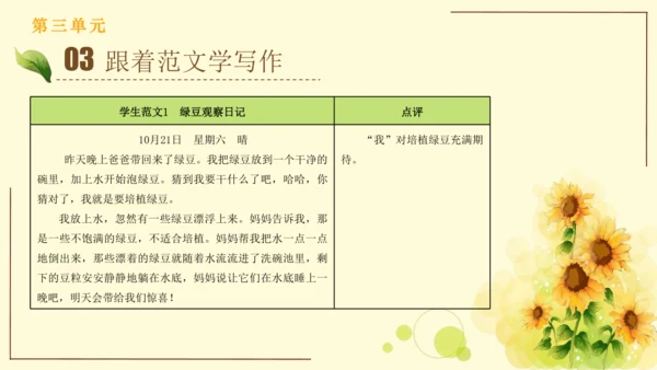统编版语文四年级上册2024-2025学年度第三单元习作： 写观察日记（课件）