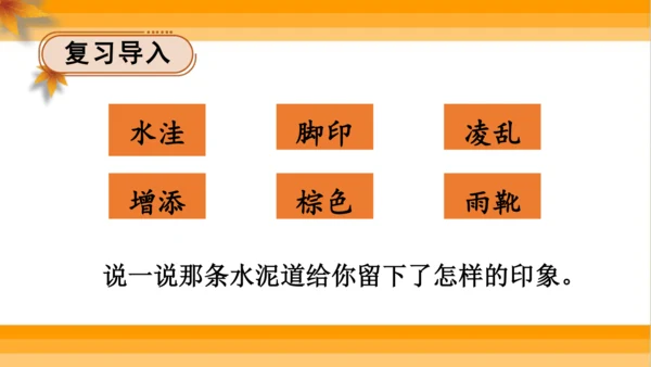 【同步课件】 5.铺满金色巴掌的水泥道   课件（2课时）