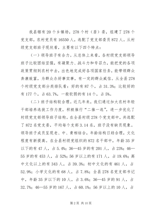 村级党支部领导班子调研报告.docx