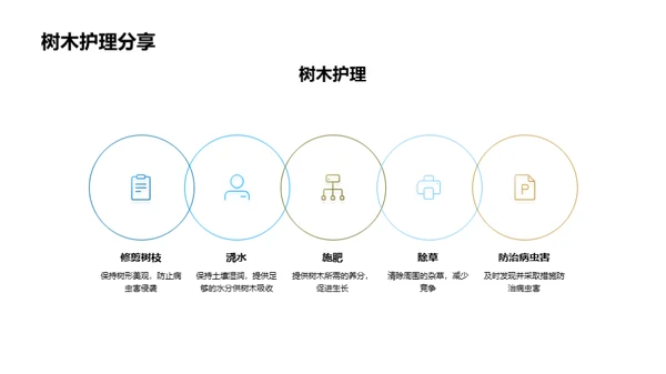 科学植树实践探索