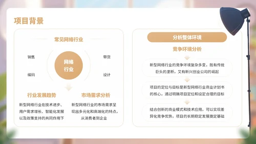棕色卡通风网络行业商业计划书PPT